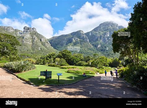 511 Kirstenbosch Botanical Gardens Stock Photos